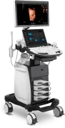 SonoScape P11 Elite