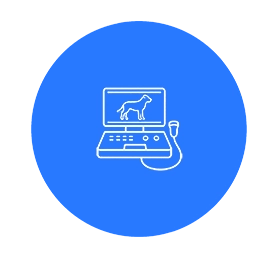 Icon Vertrieb Ultraschallgeräte VET