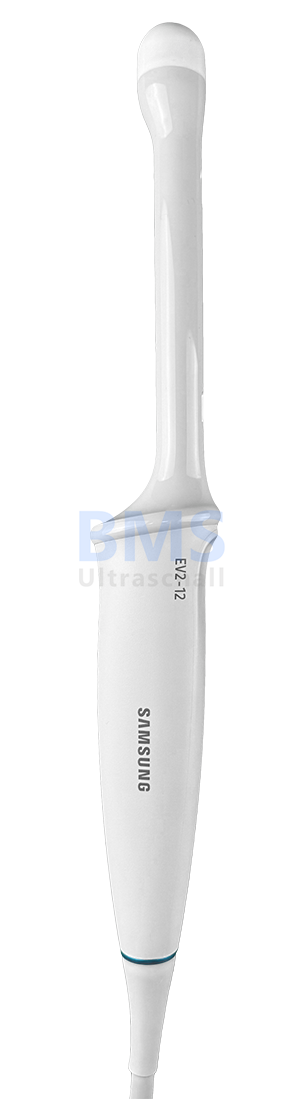 Samsung EV2-12 FLEX